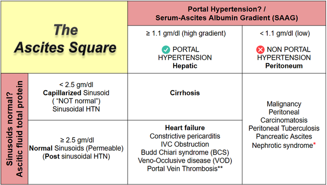 Ascites-square-final