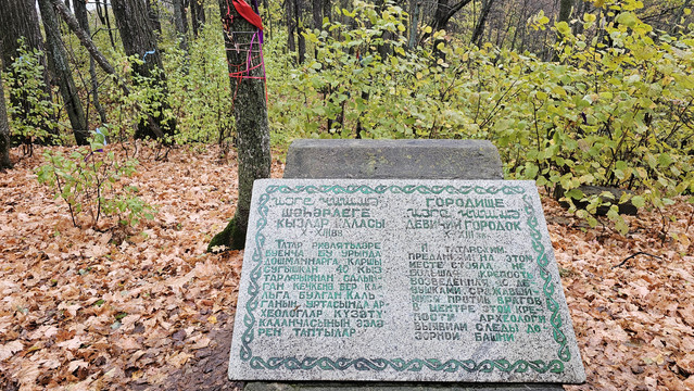 20261003-144309.jpg