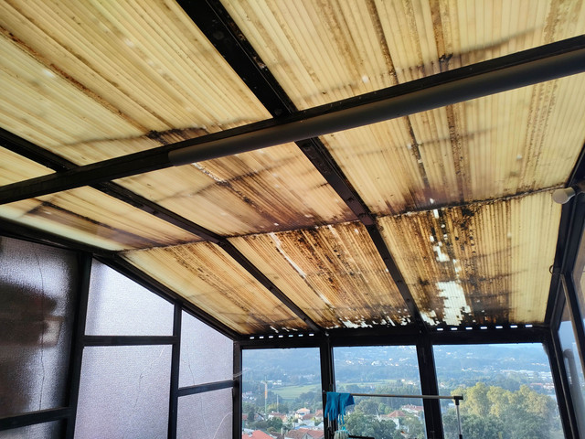 Tecto 1