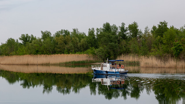 IMG 0594.jpg