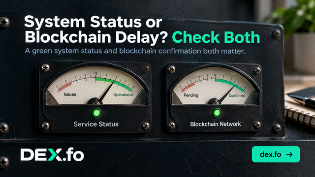 System-Status-and-Blockchain-Check.png