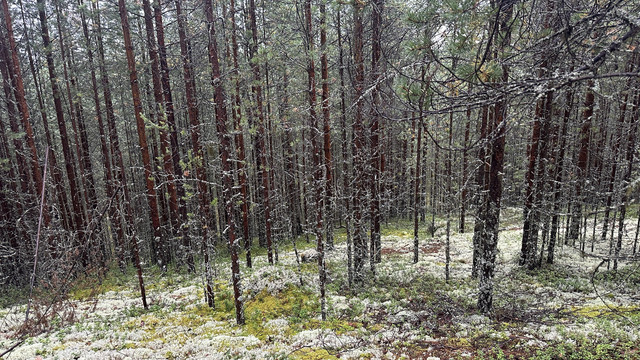 IMG 5254.jpg