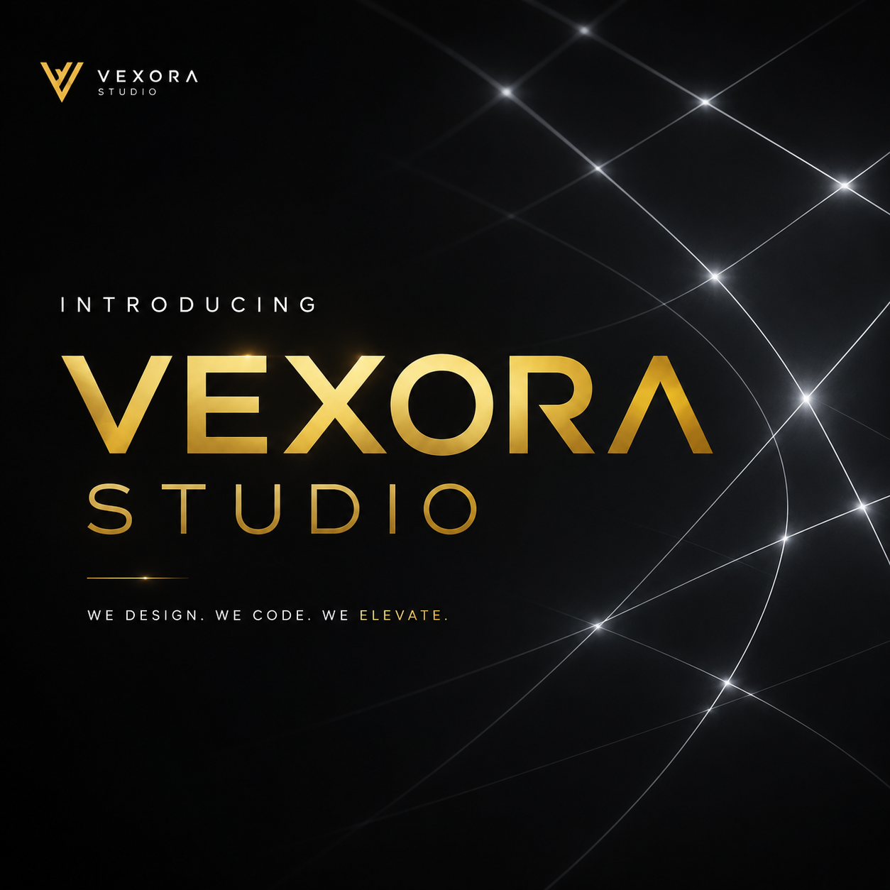 Vexora Studio — Premium Website Design