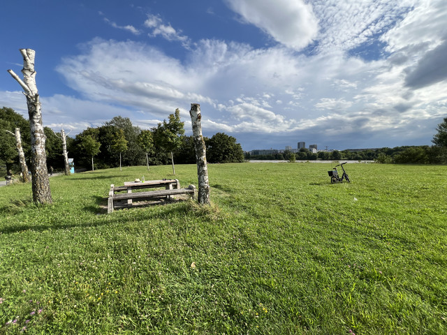 IMG-8716.jpg