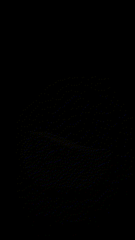 Loading Page