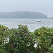 IMG 4380