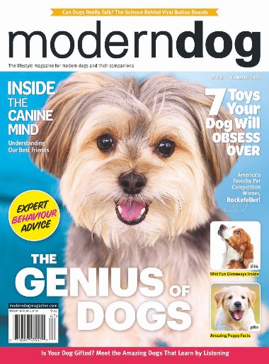 Modern Dog - Spring / Summer 2026