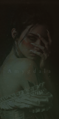 Immagine di Amygdala