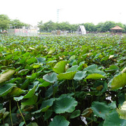 DSC00308