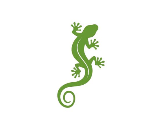 GeckoHook Logo