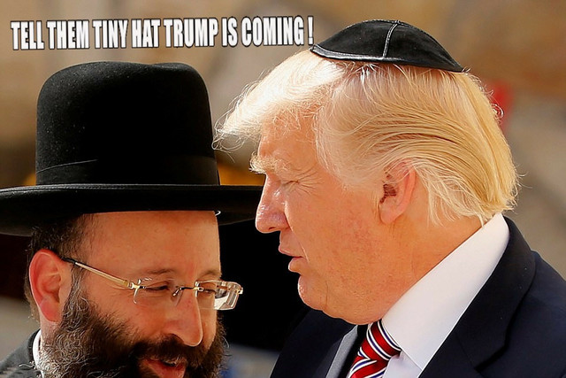 Tiny-Hat-Trump