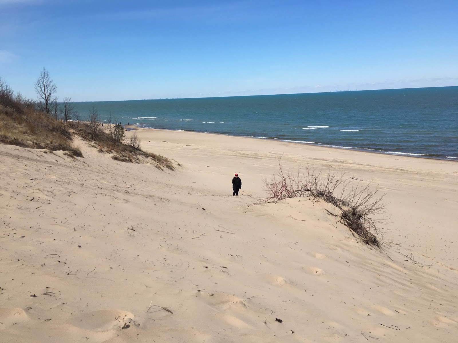 Lake Michigan dune ridge