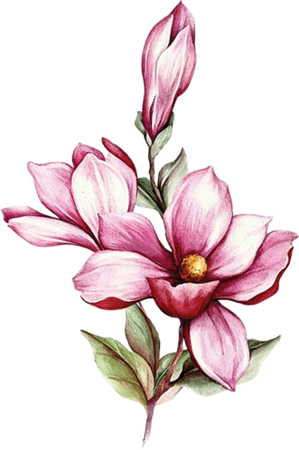 Layer 19 (7).png
