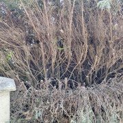 IMG 20261005 165027496