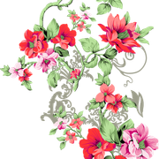 236b7a66348fff26b031ace0044dd268