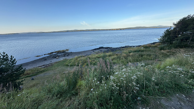 IMG 5895.jpg