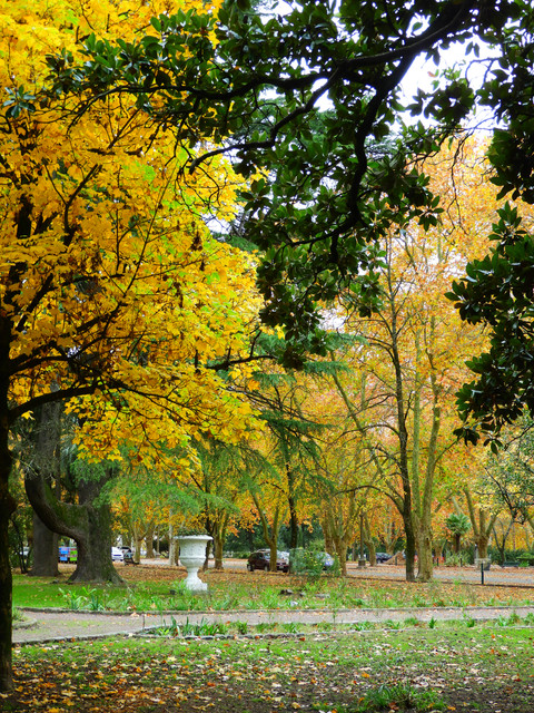 DSCN5048.jpg
