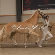 33 3