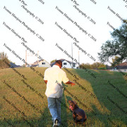 IMG 3003