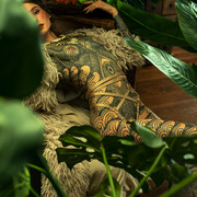 web noemie deepforest 2