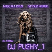 DJ PUSHY POSTER