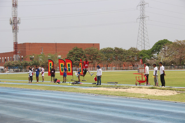 IMG-0515.jpg