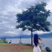 撩开裙子 (25)