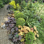 garden7