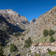 IMG 1009 (2)