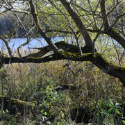 DSC7534