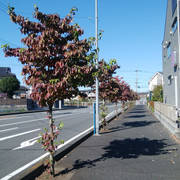 IMG-20221026-132000