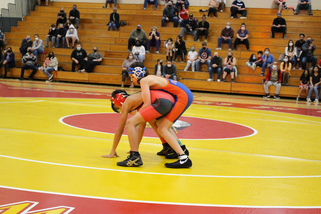 IMG-0010