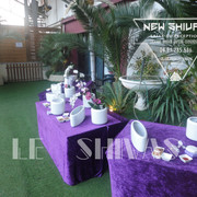 PHOTOS SALLE SHIVAS 20186
