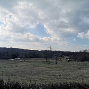 IMG-20230214-132854