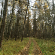 IMG-4339