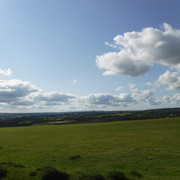 DSCF5505