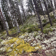 IMG 4799