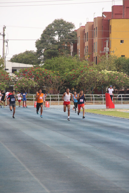 IMG-0138.jpg