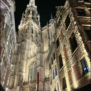 comp IMG 1696