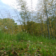 DSC-0012