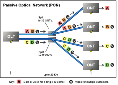 PON-vs-AON.png