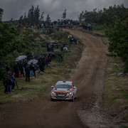 DSC02551