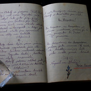 IMG-7077