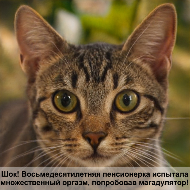 Загружено: Вера Шмидт. Россия Калининград