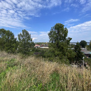 IMG-0526