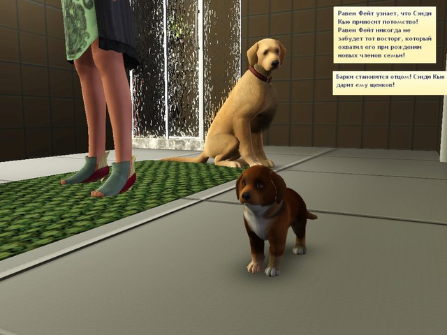 Screenshot-564.jpg