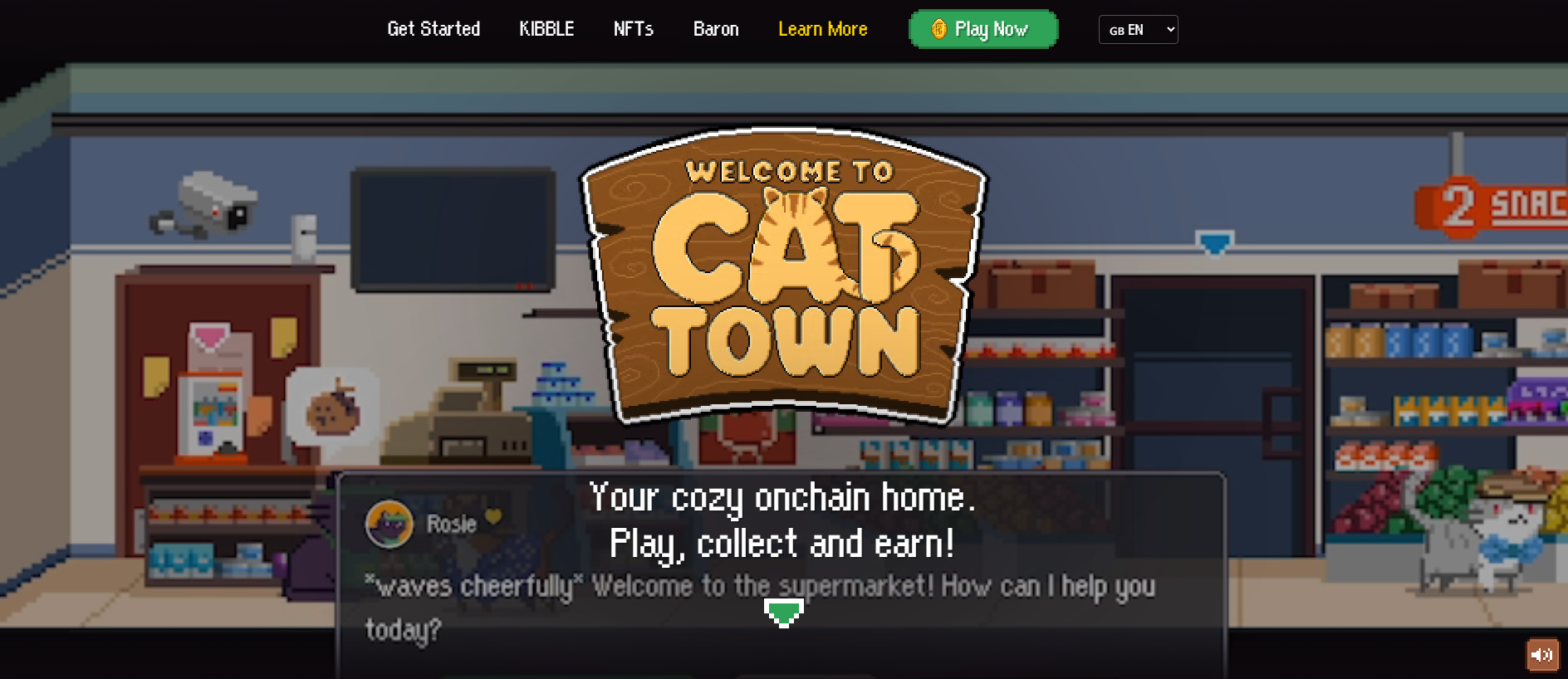 Forensic screenshot of cat-redirectiondev.xyz showing the phishing page layout