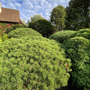 IMG-0726