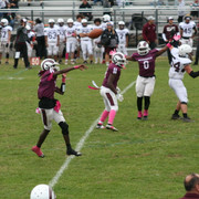 IMG-0378
