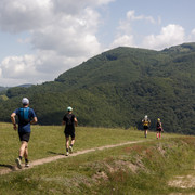 IMG-0377